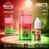 Bang 40000 Disposable Vape Refillable