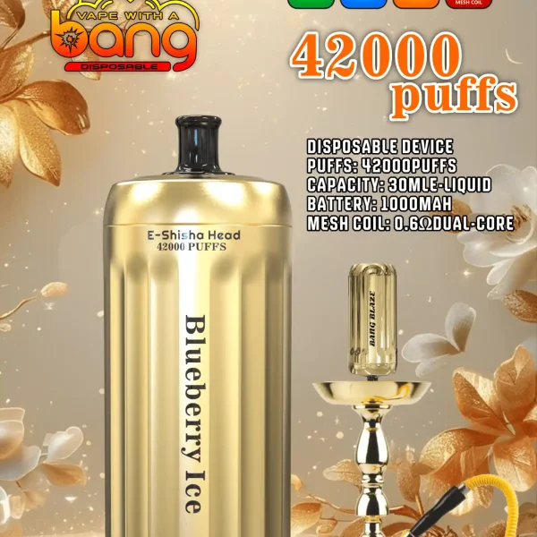 Bang E-Shisha Head 42000
